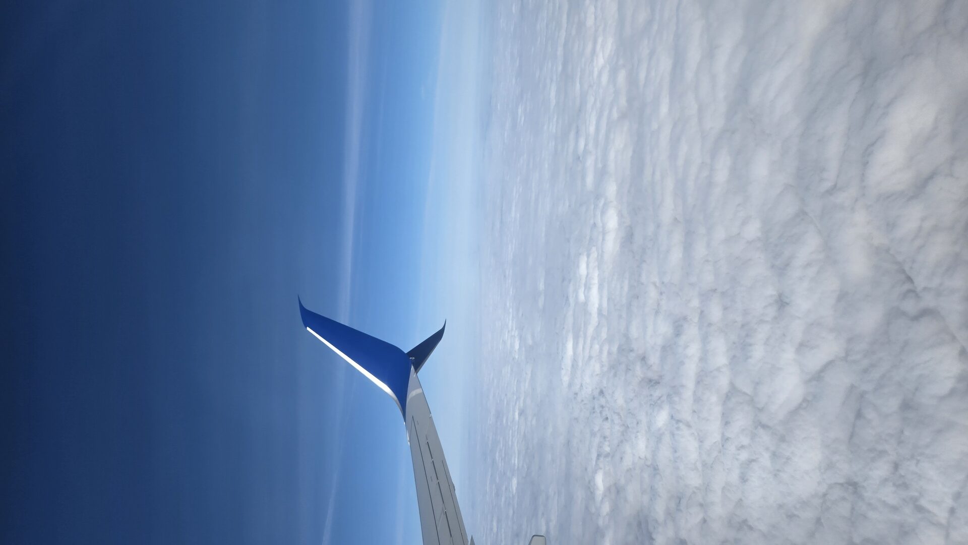 Flight